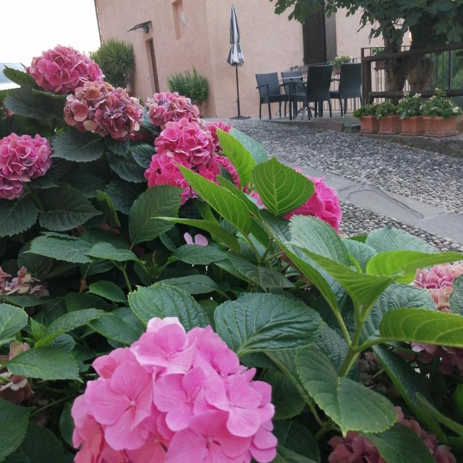 B&B Ronco Degli Ulivi Ізео Екстер'єр фото